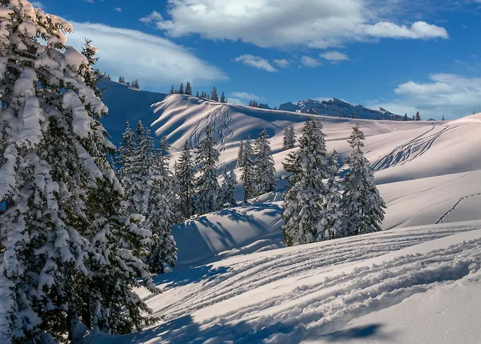 Appartement A La Montagne