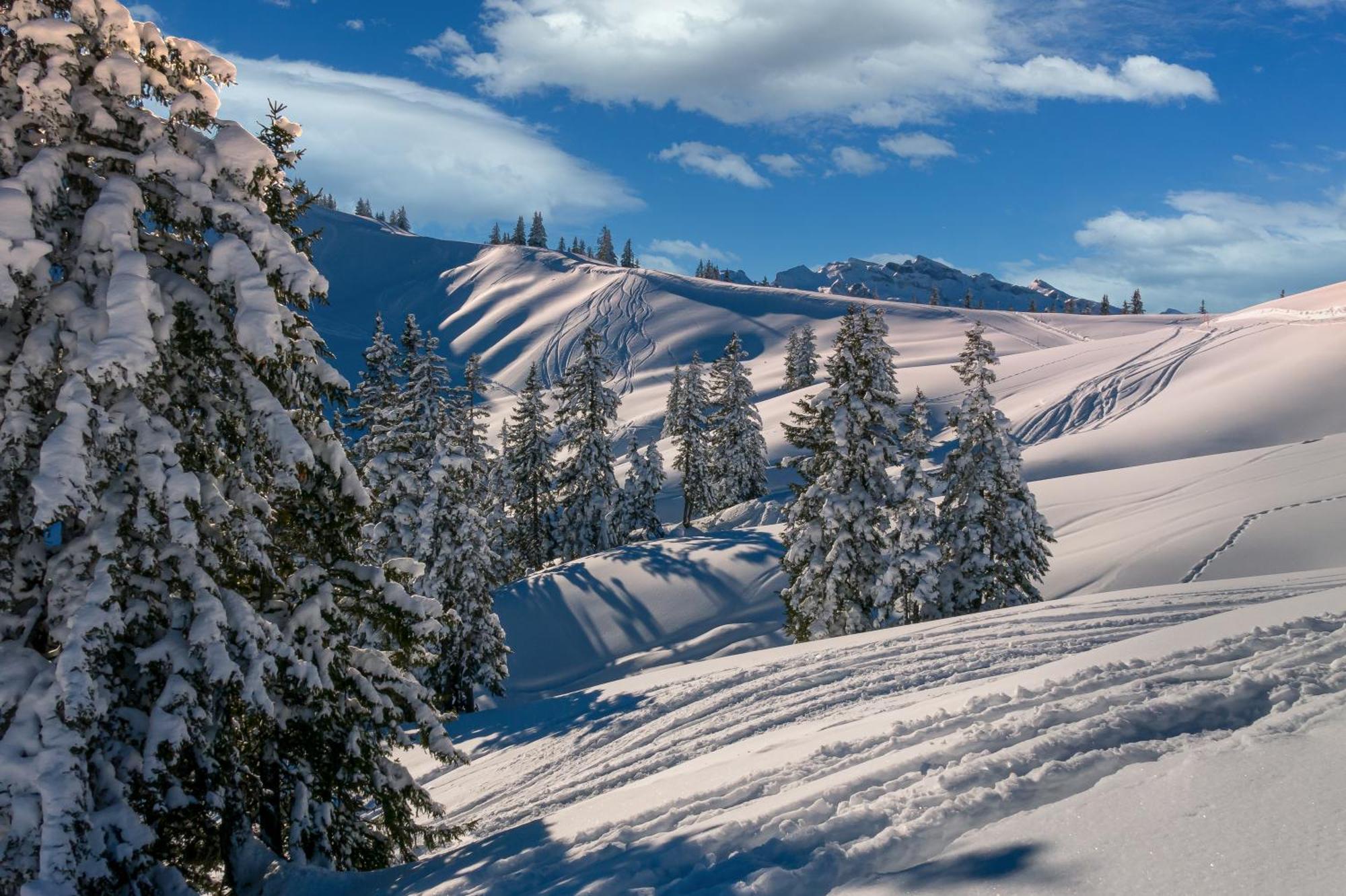 A La Montagne